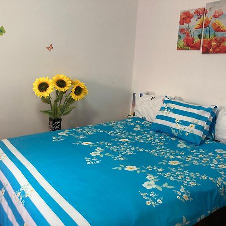 Cosy Hideaway Apartment Брашов Екстериор снимка